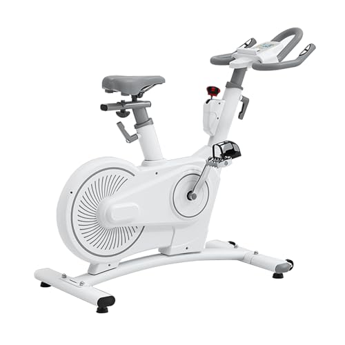 Bicicletas Estáticas con Respaldo Cecotec Marca Generic