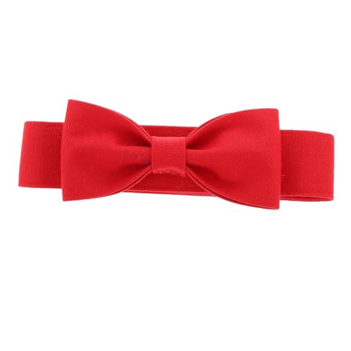 Collier de chiot confortable pour habiller facilement vos animaux aux fêtes