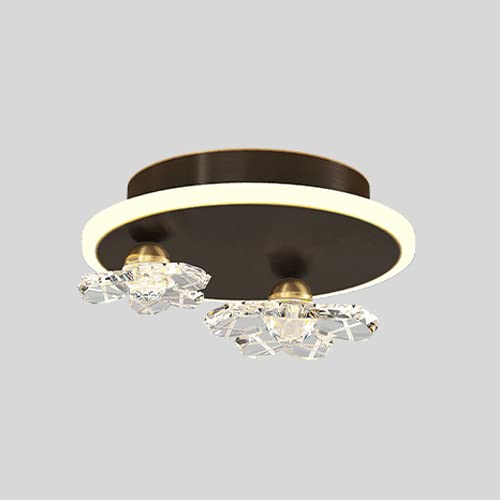 Mini plafonnier LED acrylique design fleur luminaire plafond pour chambre