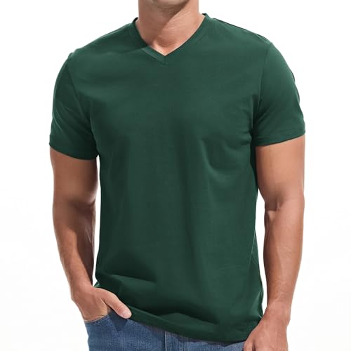VEIISAR Herren V-Ausschnitt T-Shirt 190g/m Regular Fit einfarbig Stretch Material weiches Basic Shirt (V8 Dunkelgrün XXL)