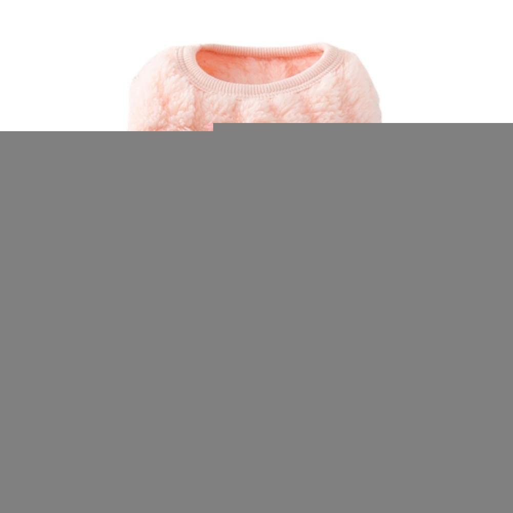 Pull de chat et manteau pour chien pour veiller sur leur bien-être