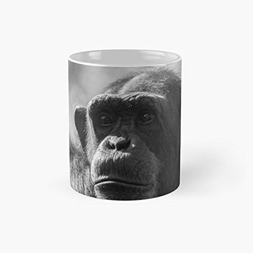 Chimpanzee looking around curiously. - 11 Oz Ceramic Coffee Mug- Perfect Gift for Family