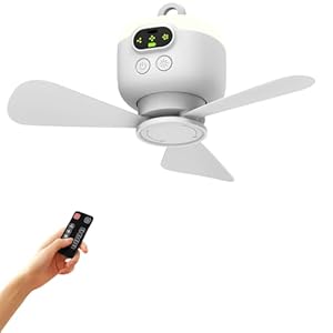 Oamger Deckenventilator mit LED-Beleuchtung Outdoor