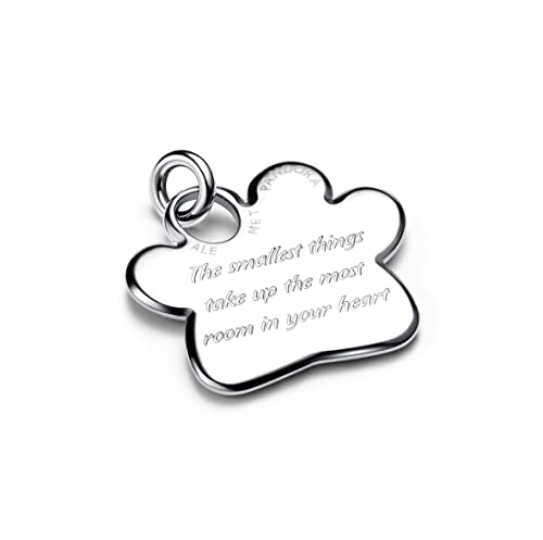 Chapa para collar mascotas 312268C00 Pandora