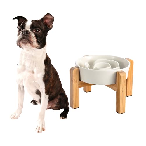Ciotola Anti Ingozzamento Rialzata per Cani - Ciotola in Ceramica con Supporto in Bambù - Mangiare Lento e Anti Vomito - Ideale per Cani di Piccola e Media Taglia - Bianco Latte - 17 cm