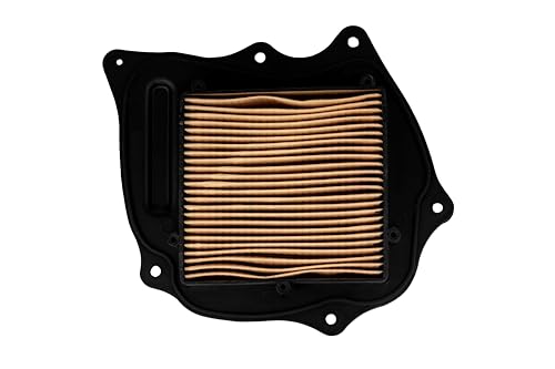 Haran Air Filter Paper Comaptible For Bajaj Vikrant v15