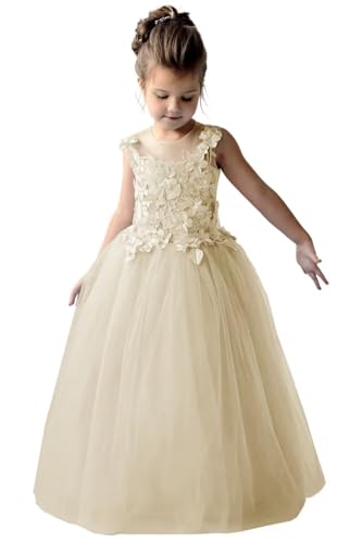 Tulle Appliques Flower Girl Dress Princess Sleeveless Ball Gown Birthday Gown for Prom Floor-Length Pageant Dress