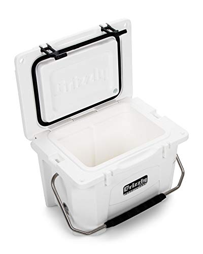 grizzly g20 cooler