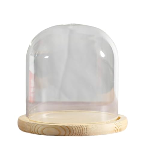 EYRMQWJPC Cloche en Verre Transparent, Cloche en Verre avec Socle Bois Massif, diamètre 20 cm, Hauteur 20-30(Dia20*H20cm)