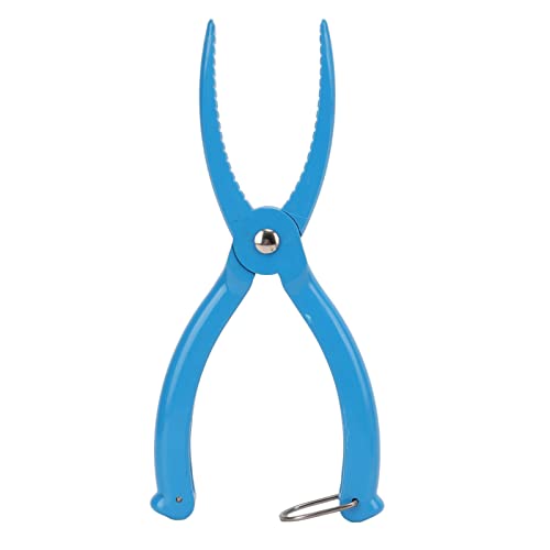 tBbVbvz_[ tBbVOObp[ tBbVOo[ ϋv GXP[vv[t A`XLbhfUC SȋnhOc[ Oނp vX`bNf y RpNgTCY