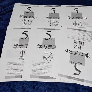 Amazon.co.jp: 育伸社 2023年度5月 中学2年生 学力テスト 国語