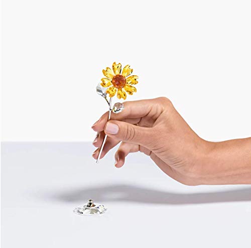 Swarovski Flower Dreams - Girassol, grande Citirne tamanho único