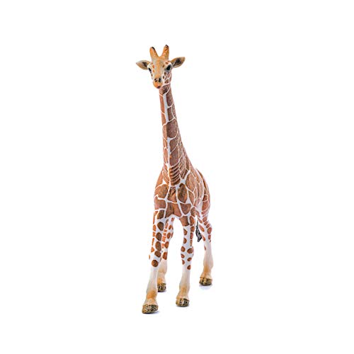 schleich 14749 Giraffenbulle, für Kinder ab 3+ Jahren, WILD LIFE - Spielfigur – Bild 4