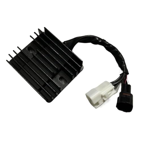 dM[^[dVR[dI[goCANZT[ Gw250 SF o[Wƌ݊ Dl250 Gsx250r At^[}[Pbg