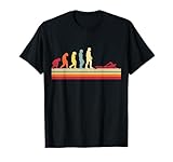 Vintage Swimming and human evolution outfits