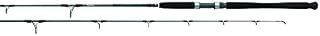 Daiwa STJ66MHFS Saltist Jigging Spinning Rod, 6'6"