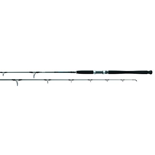 Daiwa STJ66MHFS Saltist Jigging Spinning Rod, 6'6"