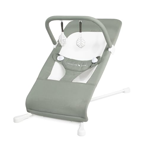 Image of Baby Delight Highland Organic Baby Bouncer | Infant | 0 – 6 Months | 3-Position Recline | Organic Sage