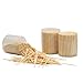 Traditional Wooden Toothpicks Made from Bamboo, Bulk Pack (2,000)