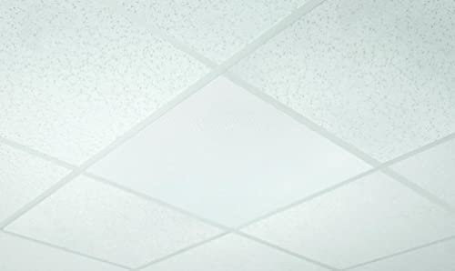 OWI Audio 2X2-LV-IW62 Full Grill LV Amplified 6