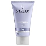 System Professional