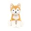 Akita