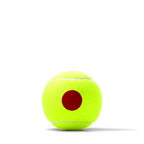 WILSON Bolas de tênis juvenis - torneio vermelho aberto dos EUA, lata única (3 bolas)