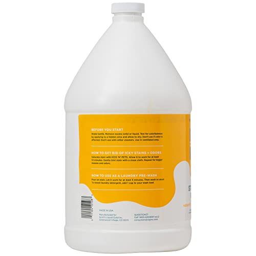 Image of Kids 'N' Pets Instant All-Purpose Stain & Odor Remover - Cleans Dog Pee, Cat Urine, Other Smells, Spots from Carpet, Couch, Mattress - Non-Toxic Chemicals & Child Safe Enzyme Cleaner - 1-Gallon
