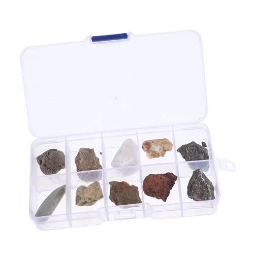GLEAVI Educational Rock Collection for Boys and Girls Boys and Girls-Friendly Rocks and Minerals Set for Classroom Use