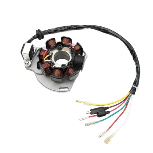 Stator de moto pour KTM EXC 200 250 300 et GasGas EC 125 bobine d'allumage haute performance