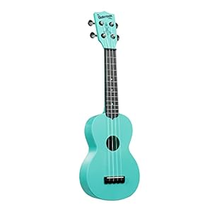 Kala Brand Music Co. The Waterman Beach Collection, 4-String Ukulele, Right, Aqua Mist, Soprano (KA-WMG-BL-S)