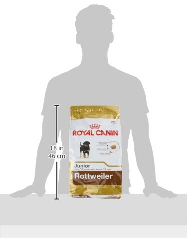 Royal Canin Rottweiler 31 Junior 3 kg, 1er Pack (1 x 3 kg)