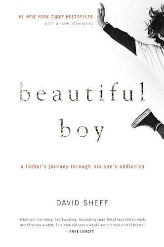 Beautiful Boy: A Heartbreaking Memoir of a Father's Struggle with His Son's Addiction and the Journey to Recovery