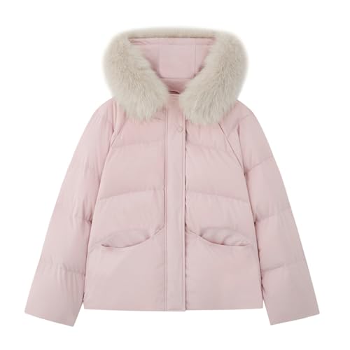 _EWPbg fB[X H~R[g t@[tt[h O\ V[g AE^[  g   JWA H~ h h ۉ ʊw ʋ ؍ ~ o (sN,S) [sAi]