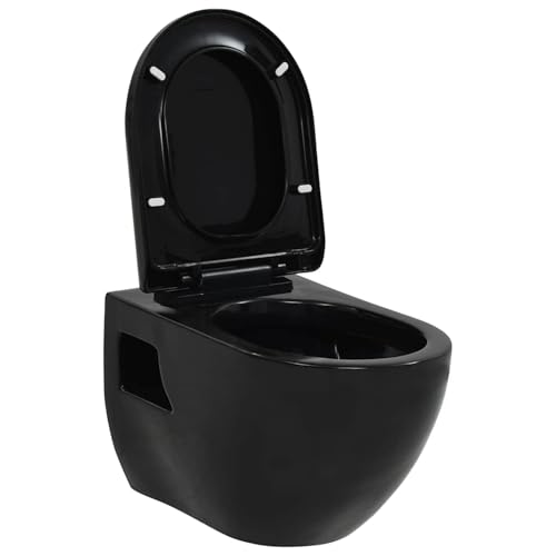 Rantry Inodoro suspendido negro con cierre suave, diseño moderno, fácil de instalar, dimensiones 36 x 50 x 41,5 cm, material cerámica y plástico