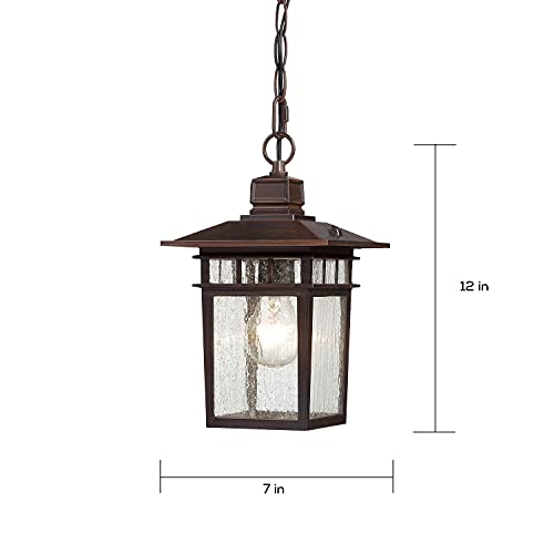 Image of Nuvo Lighting 60 /4955 Traditional One Light Hanging Lantern from Cove Neck collection in Bronze /Dark finish