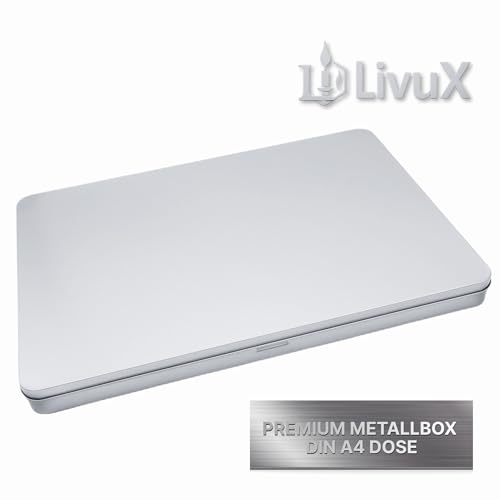 LivuX 2x DIN A4 Metall Dokumenten Aufbewahrungsbox mit Klappdeckel – L31 x B22 x H2,25 cm, stabile Flache Blech-Dose für Fotos, Schutzbox für Urkunden & Unterlagen, Rostfrei, stapelbar, langlebig 1002