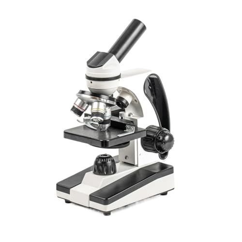 Microscope biologique portable 40-640x avec platine à échantillons pour adultes