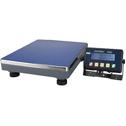 Báscula De Suelo Con Rampa G & G PSE 200 kg/10g del Paquete – Báscula Digital de Plataforma Industrial, Posibilidad de Funcionamiento con batería Scale