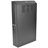 Tripp Lite 4U Vertical Wall Mount Rack Enclosure Cabinet, Low Profile, Server Depth, 36" Deep, Black