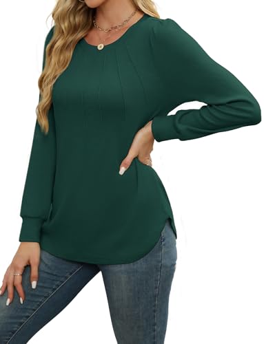Image of WEACZZY Women Long Sleeve Shirts Crew Neck Tunic Tops Soft Casual Blouses