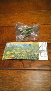 原色日本昆虫図鑑Ⅱ ショウリョウバッタ