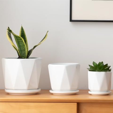 Sin wings Octagon Ceramic Plant Pots Cover