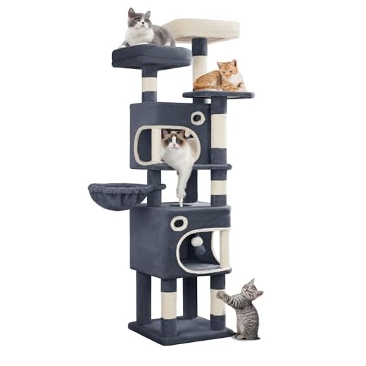 Hzuaneri Arbre à Chat Hauteur 159 cm, Tour de Jeux pour Chat avec 8 Griffoirs, 3 Plateformes, 2 Niches, Panier, Pompons, Convient Aux Chats de Toutes Tailles, Gris Foncé MS15918SG