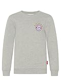 Kinder Sweatshirt Logo FC Bayern München Sweatshirt Logo Kinder