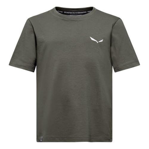 T-shirt Salewa Kids Graphic anti-irritation doux pour enfant actif