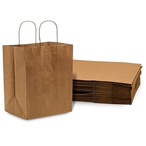 Braune Papiertüten mit Griffen, 100 Stück