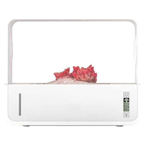 Coltivatore di funghi intelligente, Coltivatore di funghi con illuminazione a LED automatica, Scatola per funghi con aria ferma con visualizzazione trasparente intelligente fuori, Coltivazione