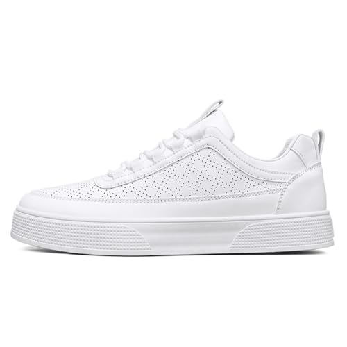 [JMCXHZGF] Xj[J[ Y  JWA fB[X   jO y ^C h EH[LOV[Y jp ʋ X|[cV[Y 풅p (zCg, l, 25.0 cm, l, {̌C̃TCY@)