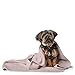HUNTER Hundedecke Casper XXL, Farbe:Creme